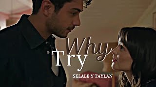 Selale y Taylan/ Why Try (Yan Oda)