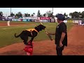 Las Vegas 51’s Bat Dog “Finn”