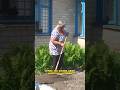 Штраф за цветы под окнами #новости #беларусь
