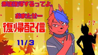 久々の復帰配信　近況報告と色々と「３Ｄおひろめ！？」