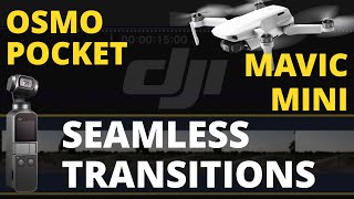 Seamless Transitions: DJI Mavic Mini + Osmo Pocket