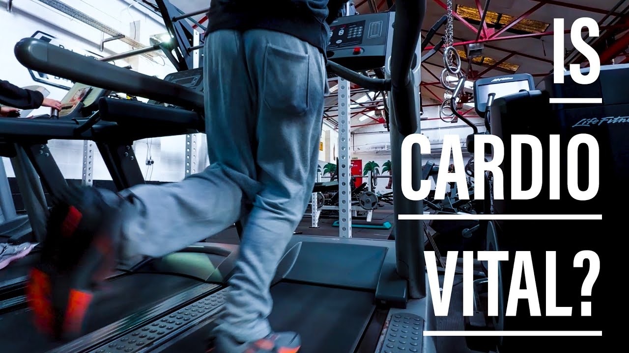 Why Cardio is VITAL in the gym? (Cardio circuit) - YouTube