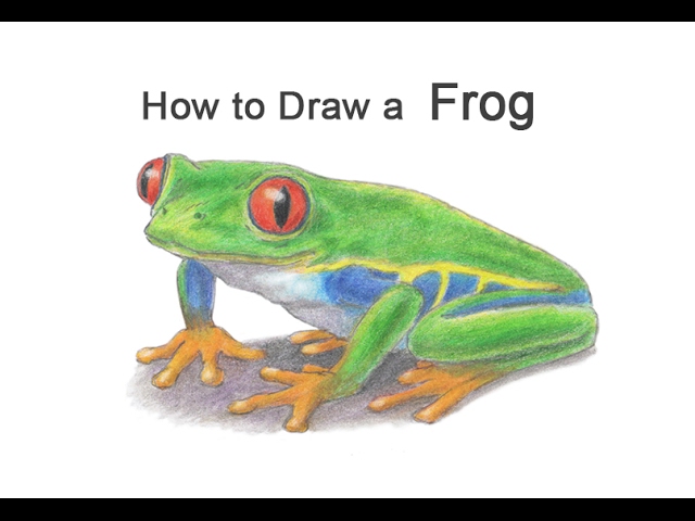 Frog time. Амурская лягушка. Flexi cute бегемот stl. How to draw red-eyed frog in the treefor kids very easy. Flexi cute бегемот stl.