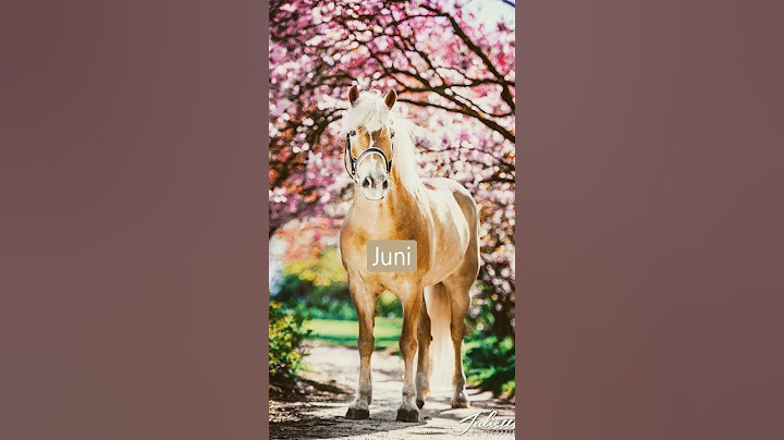 In welke maand ben jij geboren??🤱 Laat het weten in de commends.🐎🐎🐎🐎🐎🐎🐎🐎🐎🐎🐎🐎🐎🐎🐎🐎🐎🐎🐎🐎🐎🐎🐎🐎🐎🐎🐎🐎🐎🐎🐎🐎🐎🐎🐎🐎