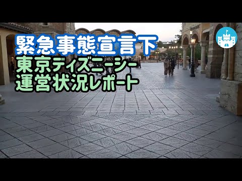 【2月】緊急事態宣言下のディズニーシー レポート