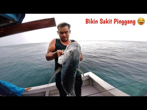 Video: Memancing Februari, Apa Jig Diperlukan