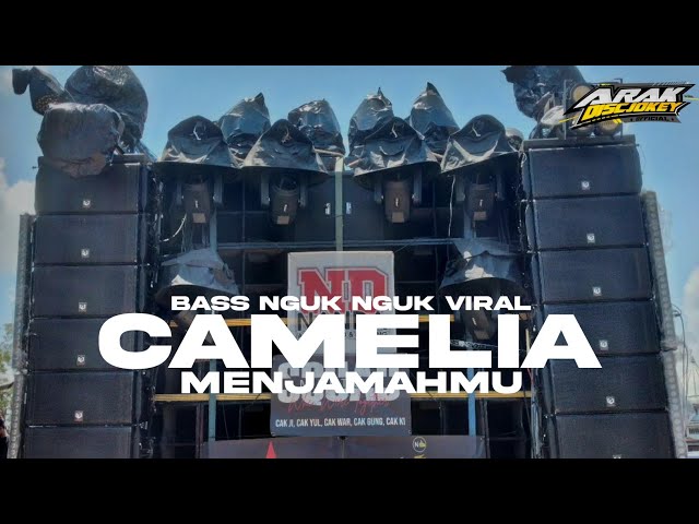 DJ CAMELIA - SUNGGUH TAKKAN KUBIARKAN ‼️STYLE BAS NGUK NGUK VIRAL class=