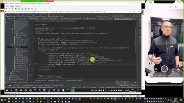 Python Scapy流量分析与处理