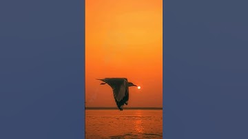 ألر تلك آيات الكتاب المبين إنا أنزلناه قرآنا عربيا لعلكم تعقلون🌺🍃