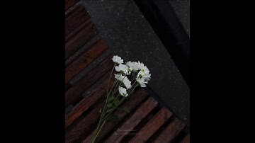 Let me down slowly - Alec Benjamin , Alessia Cara Lyrics