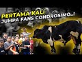 Pada ketakutan sama condrosimo pas jumpa fans pertama kali