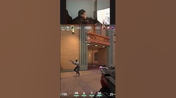 Domi passed the fraud-check 👌🏿‼️‼️#VALORANT #Gekko #Vyse #VALORANTPlays #VALORANTFunnyMoments