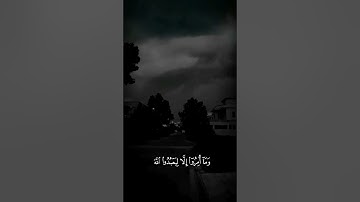 القرٱن الكريم | تلاوة هادئة و راحة نفسية | القارئ : ماهر المعيقلي | سورة البينة ❤️‍🩹