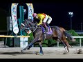【佐賀競馬】第4回フォーマルハウト賞（2025.11.30）