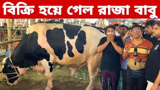 এইমাত্র বিক্রি হয়ে গেল রাজবাড়ীর রাজা বাবু | দামসহ বিস্তারিত | গাবতলী গরুর হাট qurbani_cow_hut