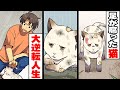足が腐って衰弱死寸前の野良猫「幸せになりたい…」→誰も助けてくれない…→数日後、大逆転の展開が待っていた結果・・・< マンガ動画 >【タイスケの動物感動日記】