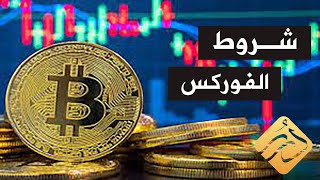 الشروط الفقهية لتداول الفوركس .. د. علي القره داغي | الشريعة والحياة