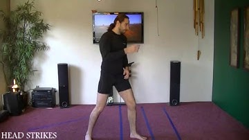 Learn Kenpo One Only basics strikes head strikes