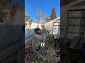 REMOVE IT #karen #yardwork #sidehustle #timelapse #satisfying #diy