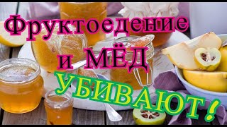 ФРУКТОЕДЕНИЕ и МЁД УБИВАЮТ! УНИКАЛЬНАЯ ИНФОРМАЦИЯ!