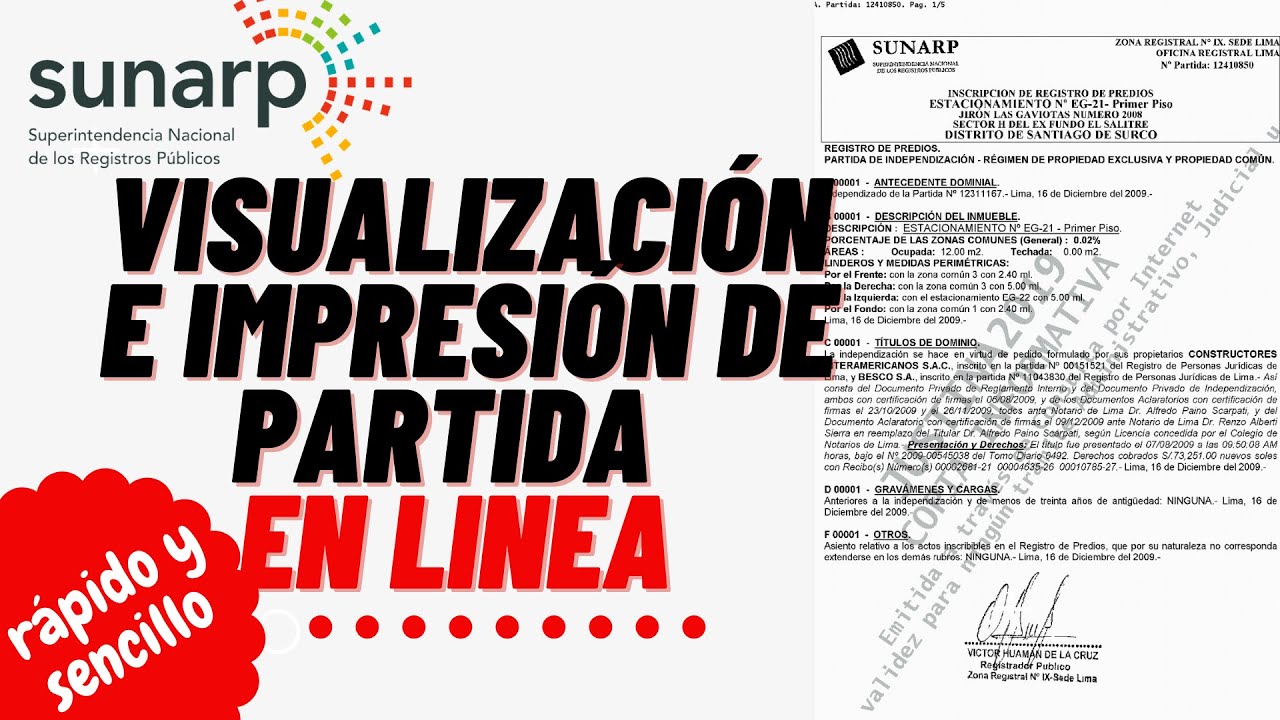 Visualizaci n E Impresi n De Partida Registral PASO A PASO 