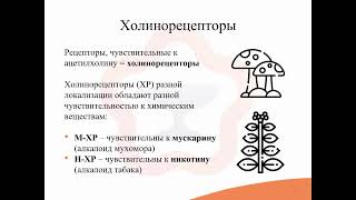 4.1. Холинергическая система. Холинотропные средства