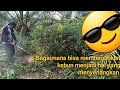 Bagaimana bisa membersihkan kebun menjadi hal yang menyenangkan
