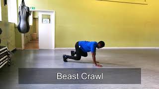 Dingis Fitness - Simple Animal Flow - Personal Trainer In Bath