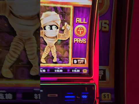 The Snoop Dog Slot Machine Bonus is CRAZY! (Ruby Slots)