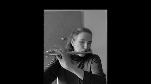 Flute and live electronic improv with Flucoma and SP-Tools