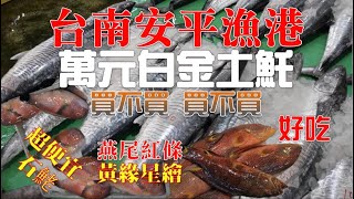 台南安平漁市場除夕圍爐看大魚超金貴萬元土魠 黑喉 燕尾紅條 石鮱 青口龍占大家喜魚 年年有餘過好年#海鮮 #市場 #漁港 #台南必吃 #台南安平 #安平美食 #安平漁港