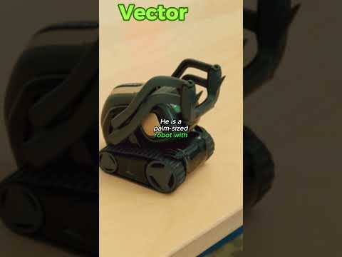 Fun facts on Anki Vector Robot