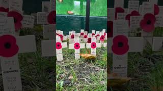 Field of Remembrance Westminster Abbey Londra