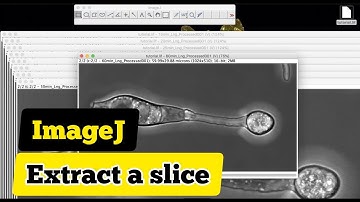 How to extract a slice from z-stack in imageJ