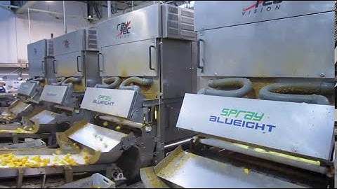 #Spray sorting technology for halved peaches for the Pit-Fragment detection | RAYTEC VISION SpA