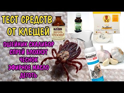 ТЕСТ СРЕДСТВ ОТ КЛЕЩЕЙ. Scalibor, Блохнэт, эвкалиптовое масло, деготь, чеснок ТЕСТ СРЕДСТВ ОТ КЛЕЩЕЙ. Scalibor, Блохнэт, эвкалиптовое масло, деготь, чеснок