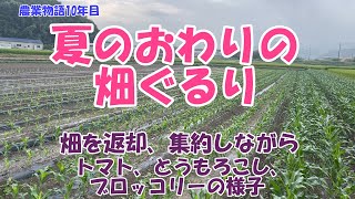 9.1日植え付け本番途中の夏のおわりの畑の様子。畑は余力があるうちに返していきます。