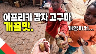 #3 마다가스카르 시골 마을에서 고구마 감자 뺏어먹기 || 태계일주 【아프리카 여행 3】