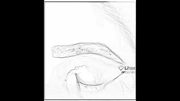 Https L Likee Video P 6Vd9pT 