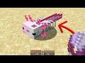 I Busted Every Single POPULAR 1.17 Minecraft Myth To See Which Work...