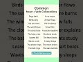 Collocations #english #language #shortsfeed #vocabulary #viralshort #trendingshorts