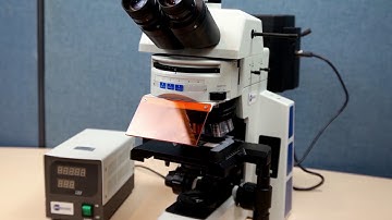 Bioimager BUM800FL Upright Fluorescence Biological Microscope- Part 1: Optomechanical Demonstration