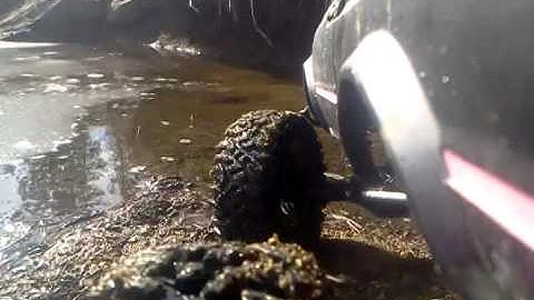 scx10 wroncho (pinky)