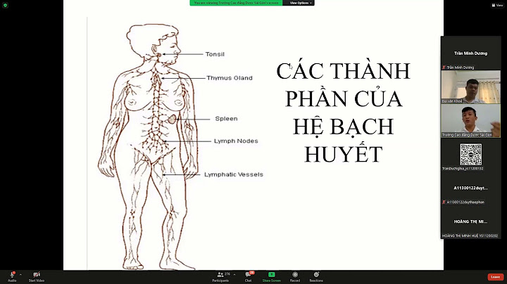 Sự khác nhau giữa máu và bạch huyết