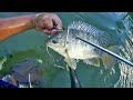 Pescando Tilapias y Mojarras de Rio con Arpon-Sabinas Hidalgo,Nuevo Leon /Garza Ayala(2)