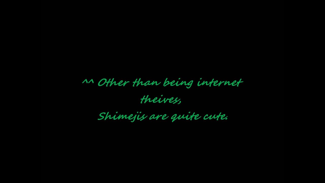 Link, from the Legend of Zelda, STOLE my internet!!