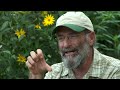 Growing a greener world episode 315  permaculture