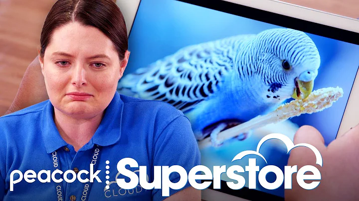 Dina's Bird Dies - Superstore