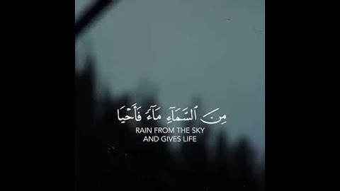 Beautiful Recitation | Who sents down water...