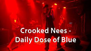 Crooked Nees - Daily Dose of Blue (LIVE 12.5.2026  Music Club Kabinet MÚZ / Brno )
